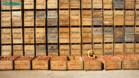 چرا همیشه افراد توانمند مدیران موفقی نمی‌شوند؟